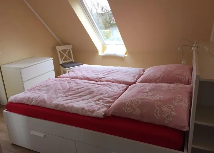 Huus-windroos * דיצום