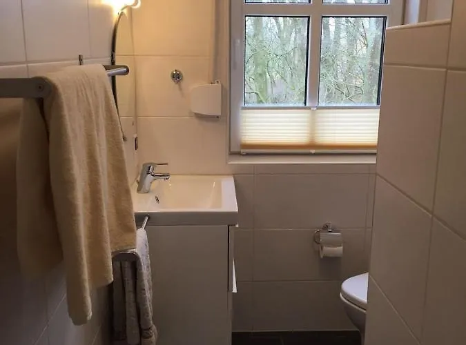 Huus-windroos * דיצום