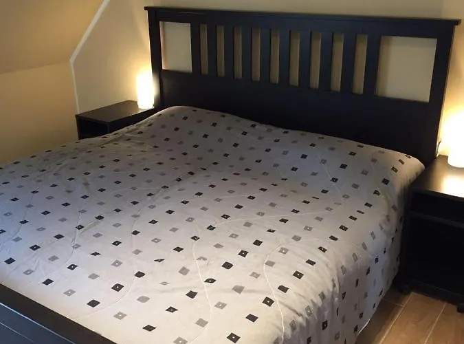 Huus-windroos דיצום