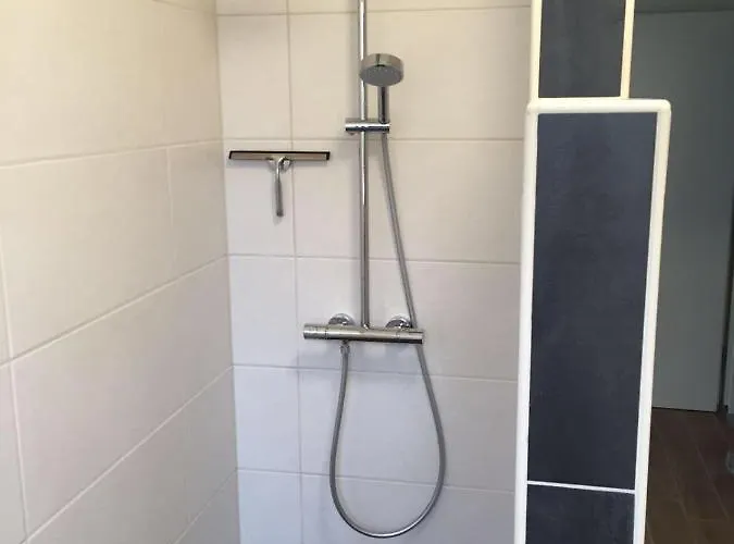 Huus-windroos דיצום